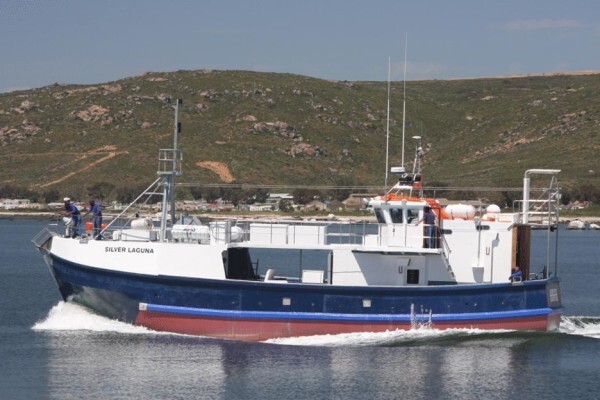 Tallie Marine