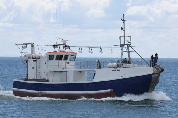 Tallie Marine