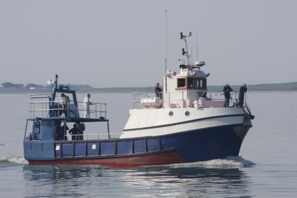 Tallie Marine