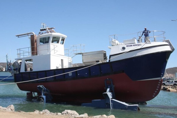 Tallie Marine:After Hours Cell