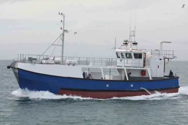 Tallie Marine:After Hours Cell