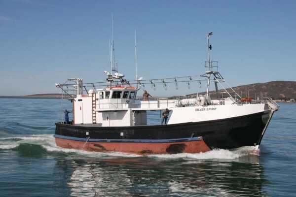 Tallie Marine:After Hours Cell
