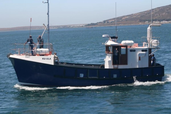 Tallie Marine:After Hours Cell