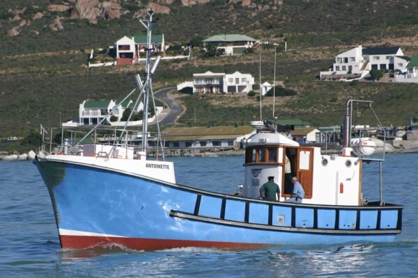 Tallie Marine:After Hours Cell