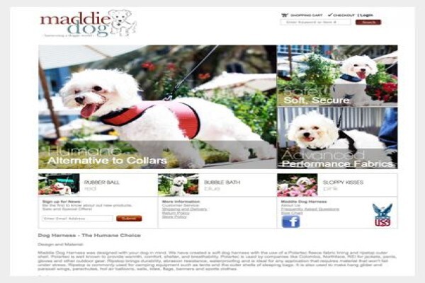 Virtual Bookkeeping & Graphic Design