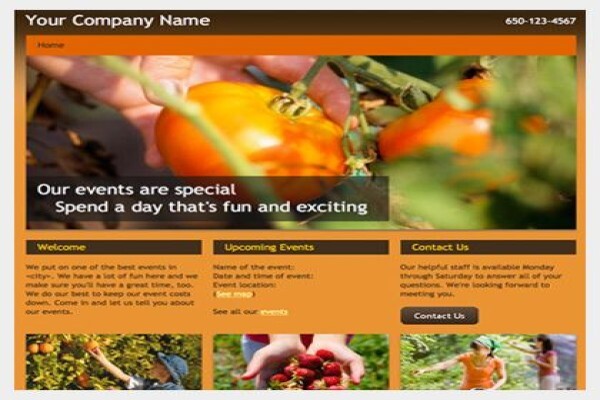 Virtual Bookkeeping & Graphic Design