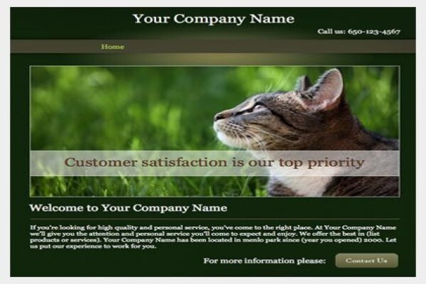 Virtual Bookkeeping & Graphic Design