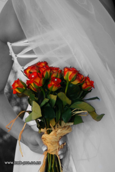 Bekker Wedding Photography