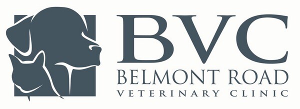 BVC - Belmont Road Veterinary Clinic - open 24 hours
