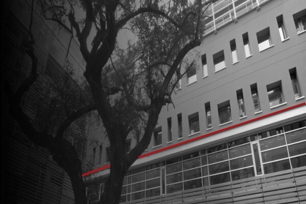 Co-Arc International Architects Inc