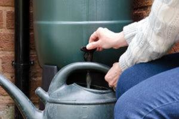 De Wet's Wellpoints & Boreholes