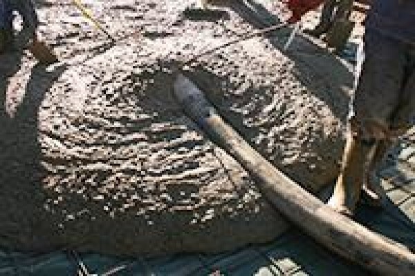 Quick Ready Mix
