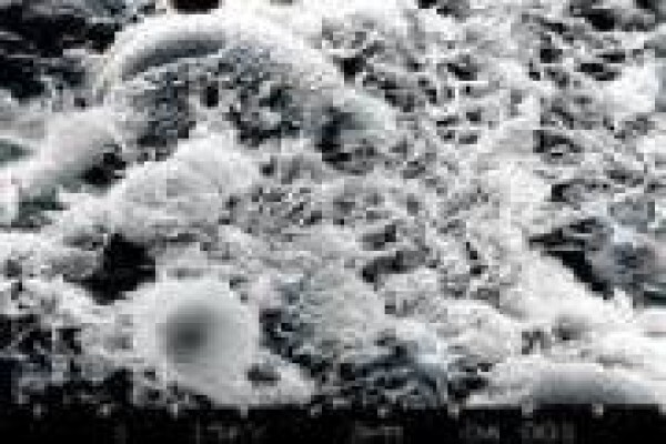 Pronto Building Materials (Pty) Ltd