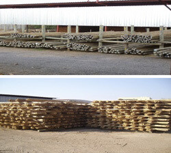 Bulk Timber Sales