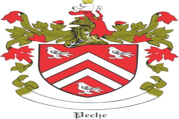 Pechè Slate Roofing Cc