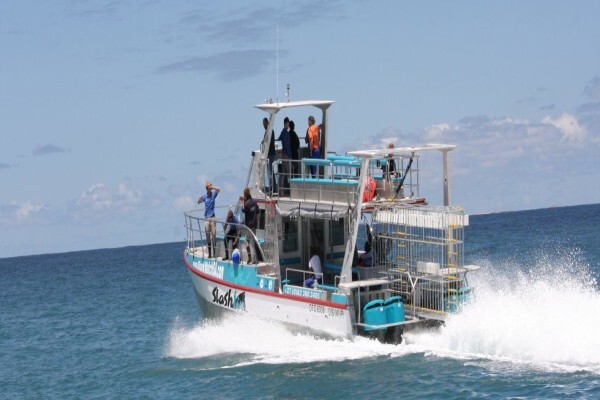 Marine Dynamics
