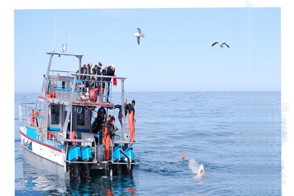 Marine Dynamics