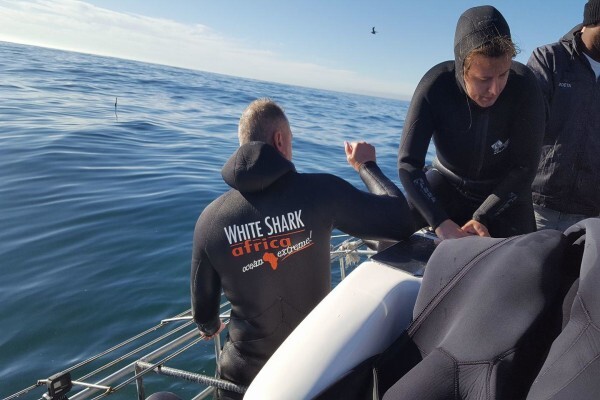White Shark Africa