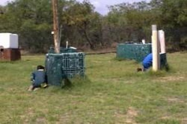 Paint Ball Farm & Conference Centre