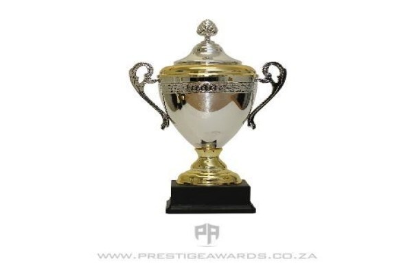 Prestige Awards (Pty) Ltd