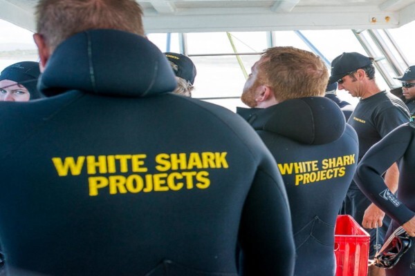 White Shark Projects CC