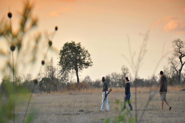 Djuma Game Reserve Sabie
