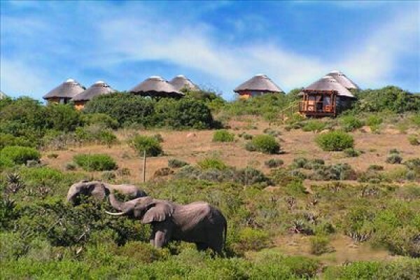 Ivory Tree Game Lodge