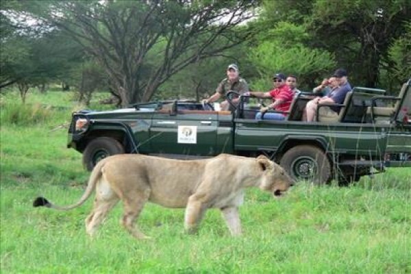 Ivory Tree Game Lodge