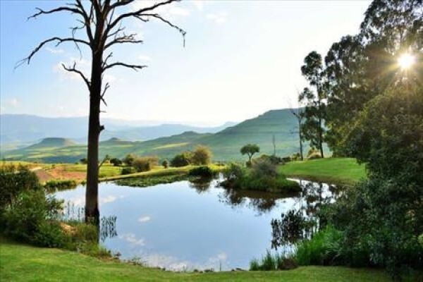 Ivory Tree Game Lodge