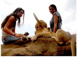Lion Park The