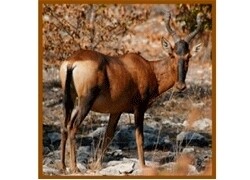 Ubhetyan Africa