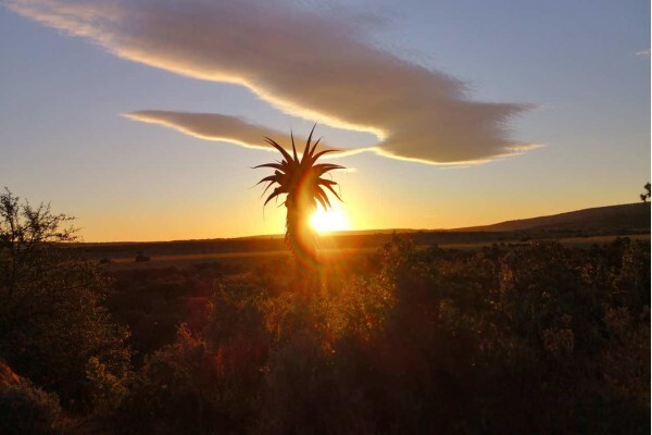 Amakhala Game Reserve