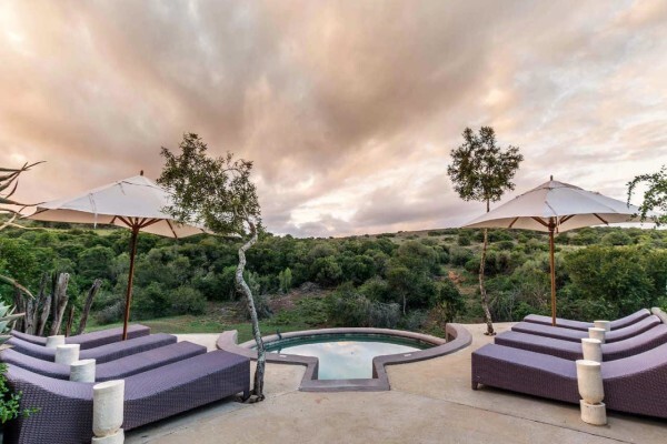 Amakhala Game Reserve