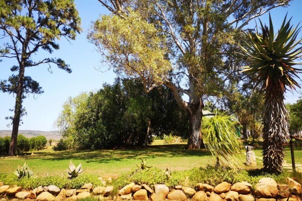 Amakhala Game Reserve