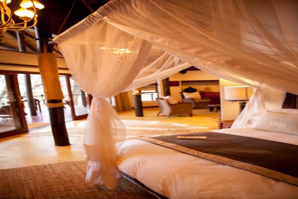 Amakhosi Lodge