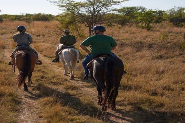 Mabula Game Lodge