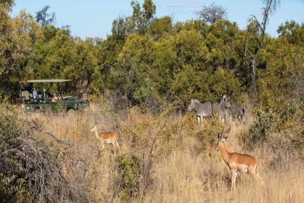 Mabula Game Lodge