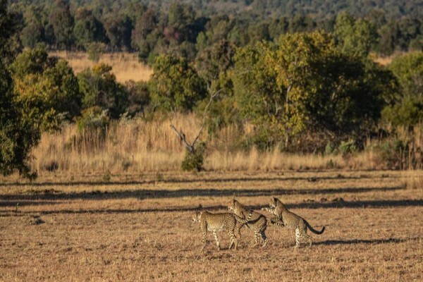 Mabula Game Lodge