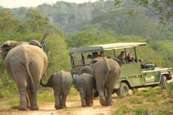 Pumba Private Game Reserve