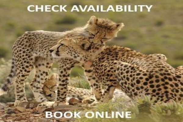 Sanbona Wildlife Reserve:Bellaire Staff Village