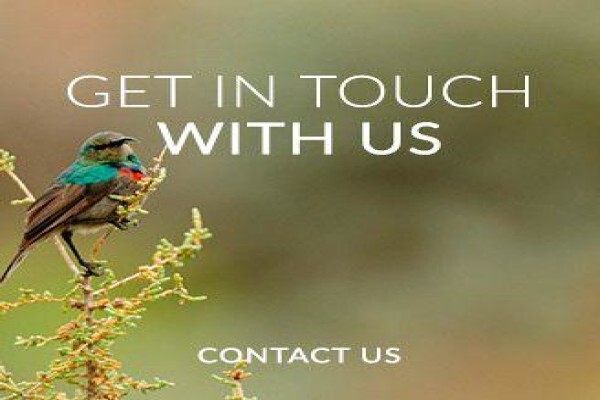 Sanbona Wildlife Reserve:Bellaire Staff Village