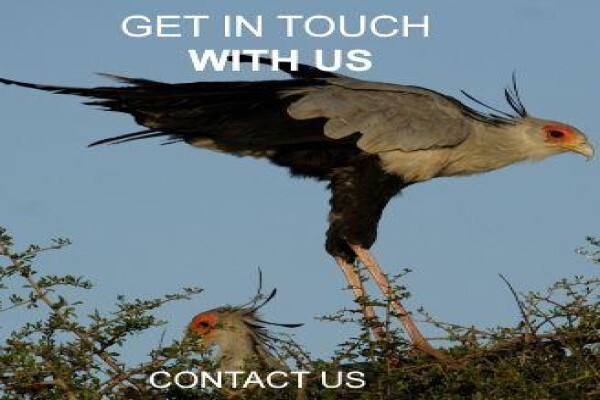 Sanbona Wildlife Reserve:Dwyka Tented Lodge