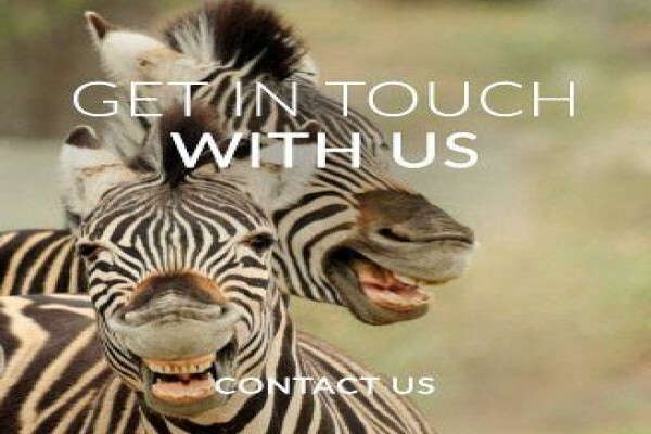 Sanbona Wildlife Reserve:Gondwana Lodge