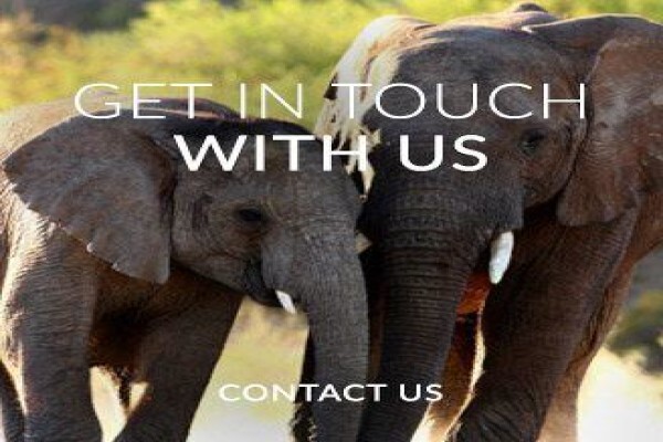Sanbona Wildlife Reserve:Gondwana Lodge