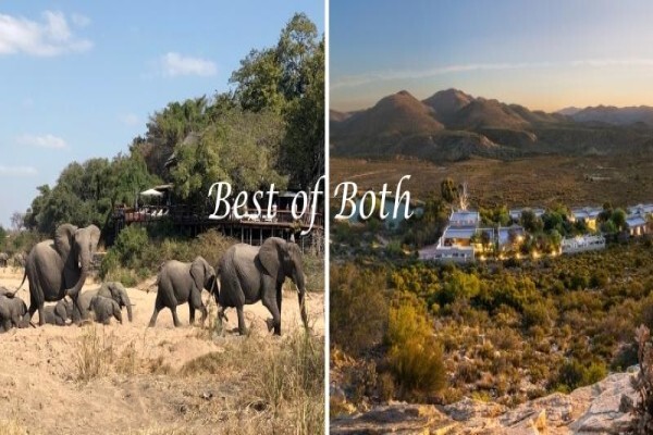 Sanbona Wildlife Reserve:Gondwana Lodge