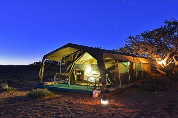 Sanbona Wildlife Reserve:Wildlife