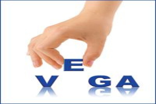 Vega Holding (Pty) Ltd