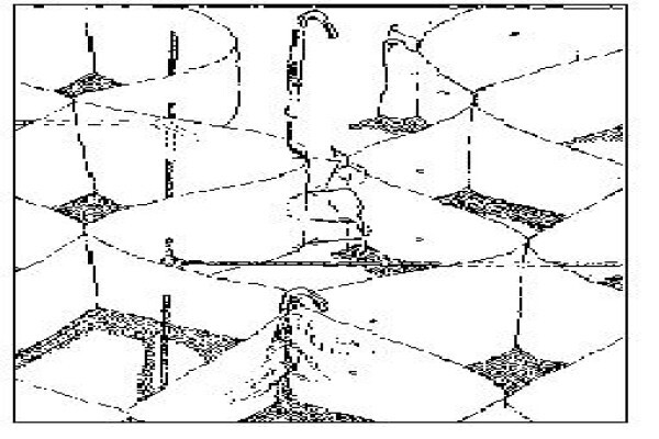 Hyson Cells