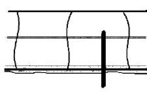Hyson Cells
