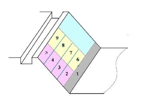 Hyson Cells